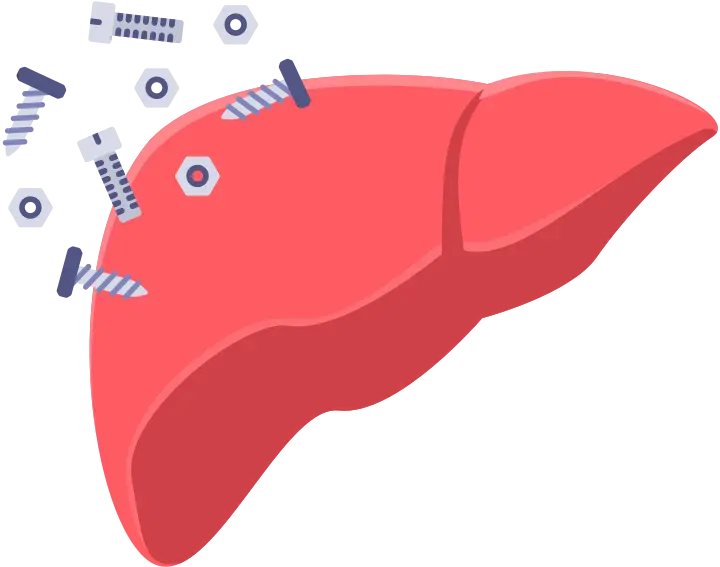 Iron overload can cause liver damage.